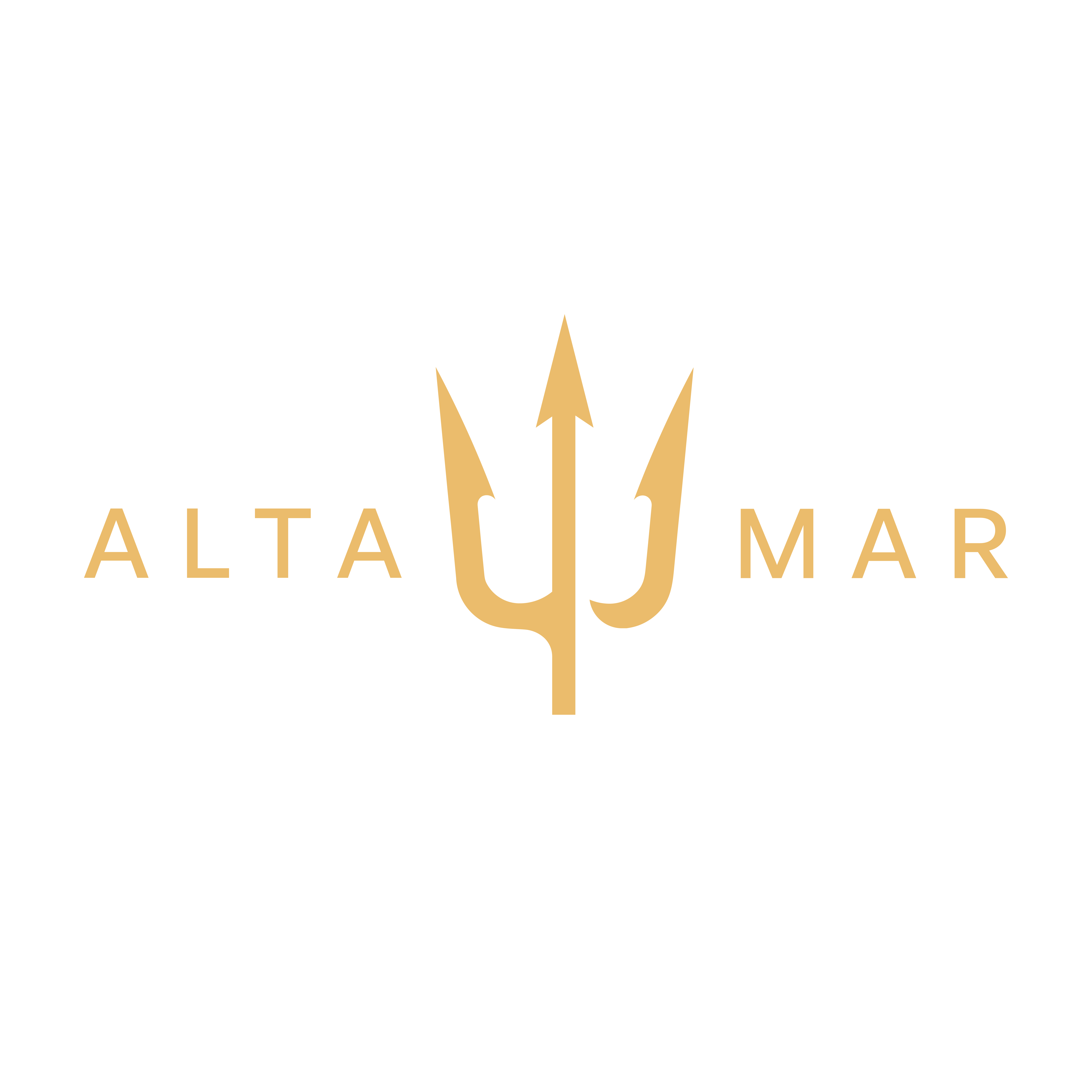 Altamar Residencial